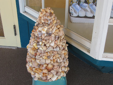 Seashell Tree