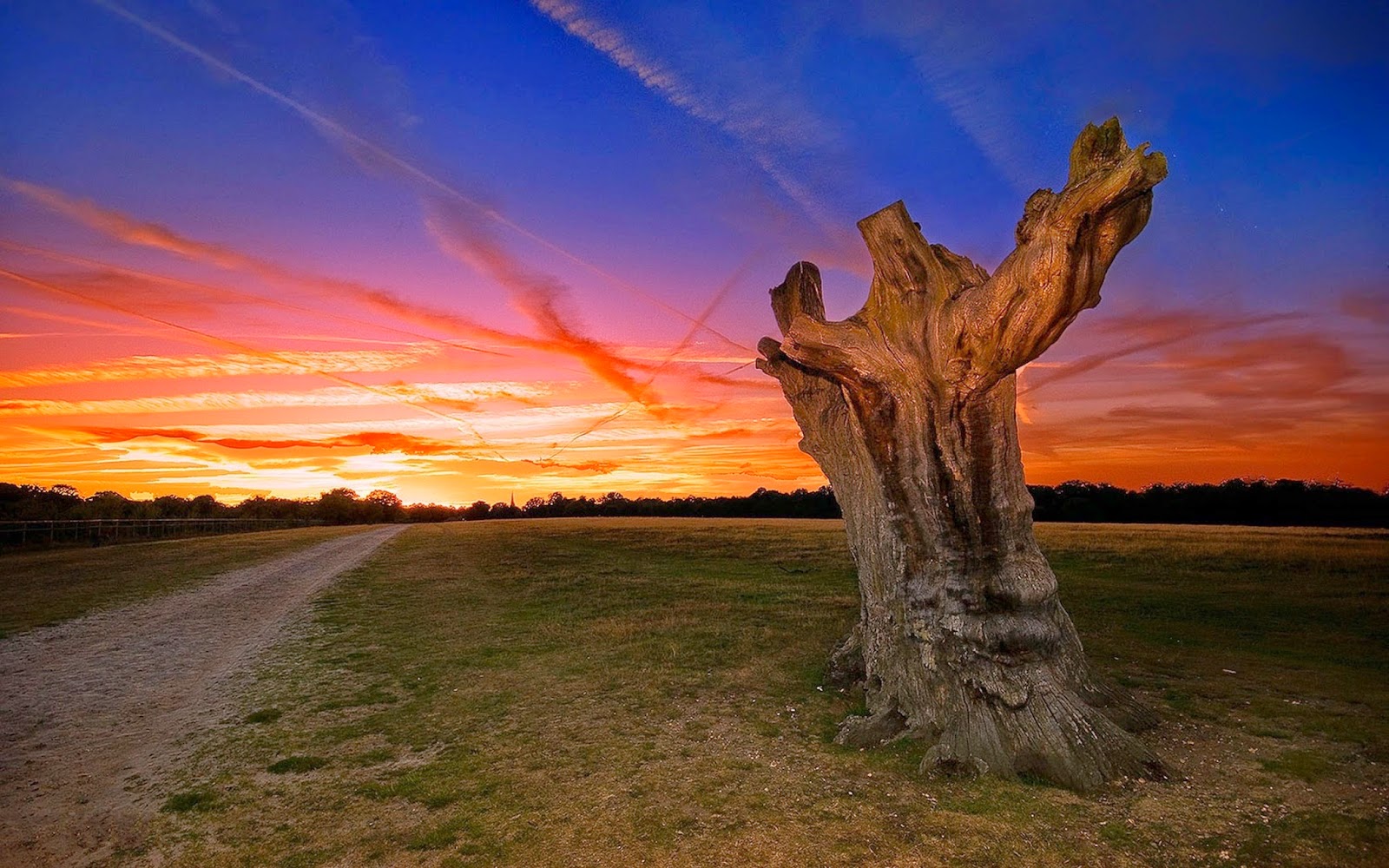 100+ Full HD 2014 Latest Wallpapers BY (BossWallpapers) | Oshlo