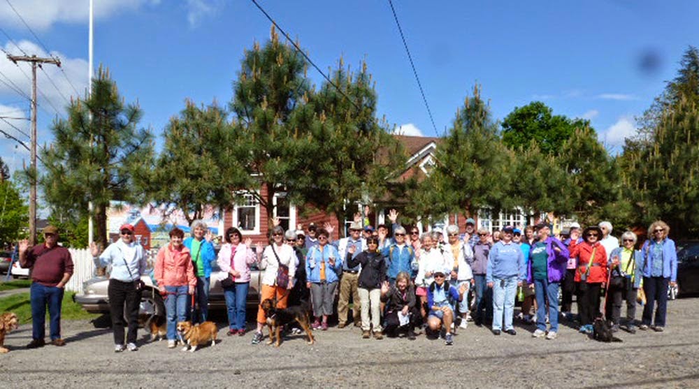 Cinnamon the Traveling Coonhound Wednesday Weekly Walkers Cinnamon walks 5K