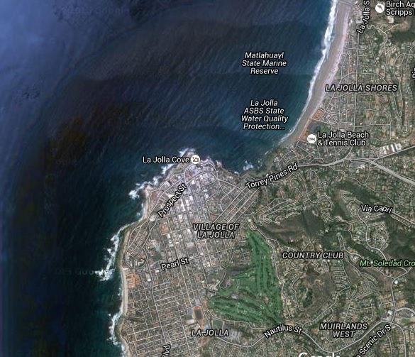 A visit to La Jolla Cove Greg in San Diego