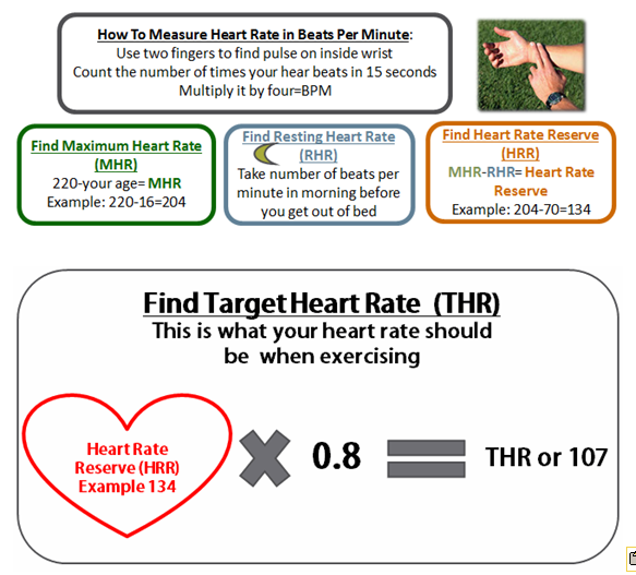 MBEdtech506 Target Heart Rate