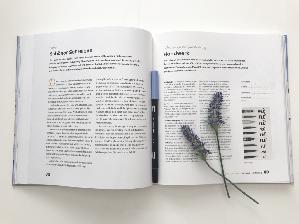 Nisnis Bucherliebe Handlettering Eigene Buchstaben