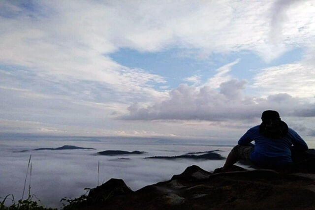 bukit jamur bukit jamur