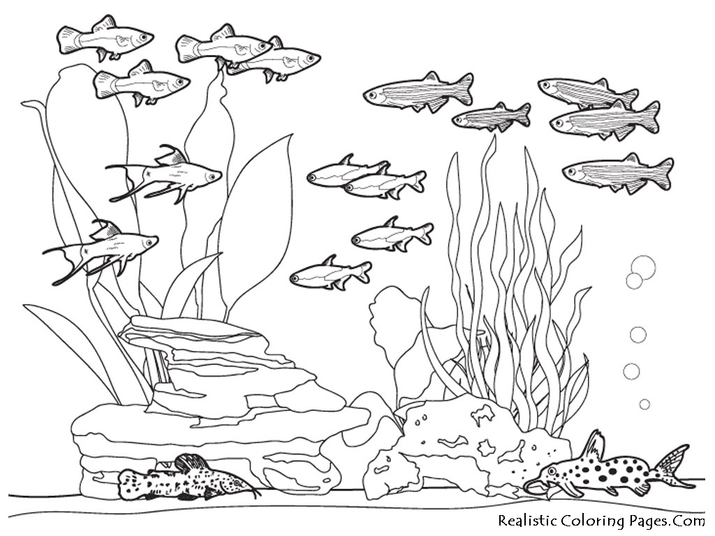 under the sea background coloring pages - photo #48