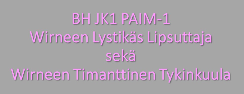 BH JK1 PAIM-1 Wirneen Lystikäs Lipsuttaja sekä Wirneen Timanttinen Tykinkuula