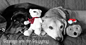 two rescued dogs cuddling with toys