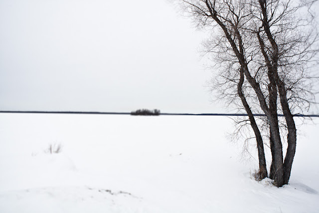 snow covered Nett Lake Duluth, Minnesota photography by Marlon Krieger