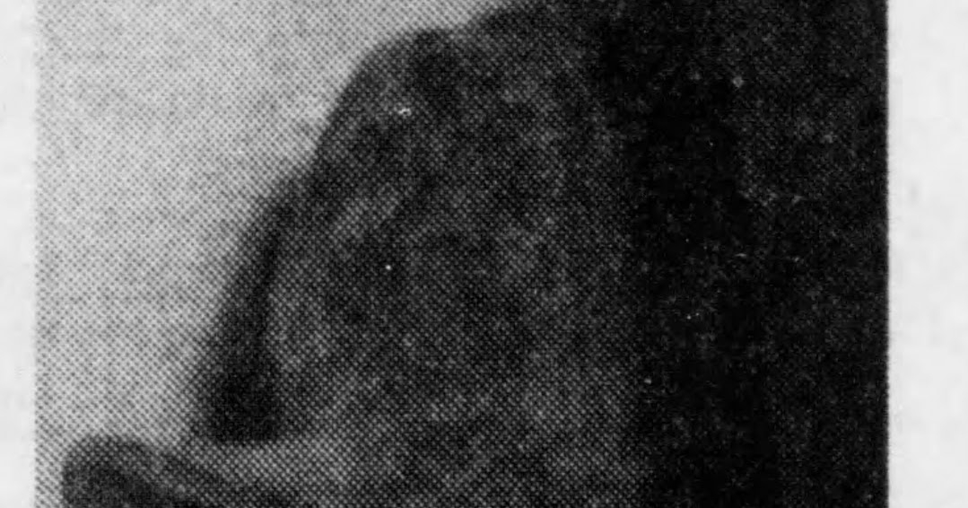 Grateful Dead Sources December 21 1967 Owsley Bust