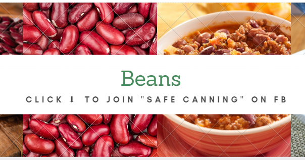 Can Dogs Eat Pork And Beans Safely / Can Dogs Eat Green Beans? Find Out All About Green Veggie ... : However, avoid seasoning and chop up the beans first to prevent choking.