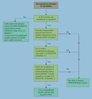 NEBOSH Construction Certificate: RIDDOR - (Reporting Of ... ro plant flow diagram 