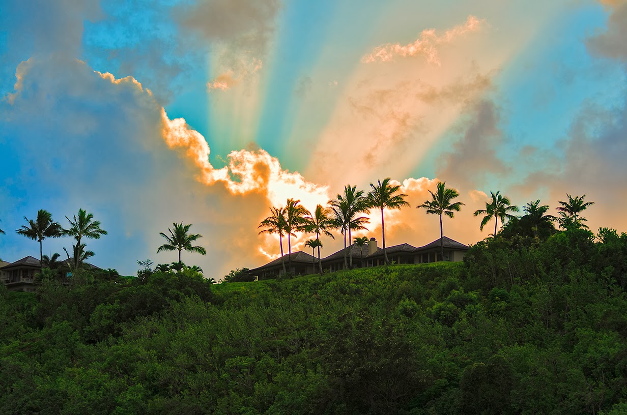 Linda Cochran's Garden Pictures From Kauai
