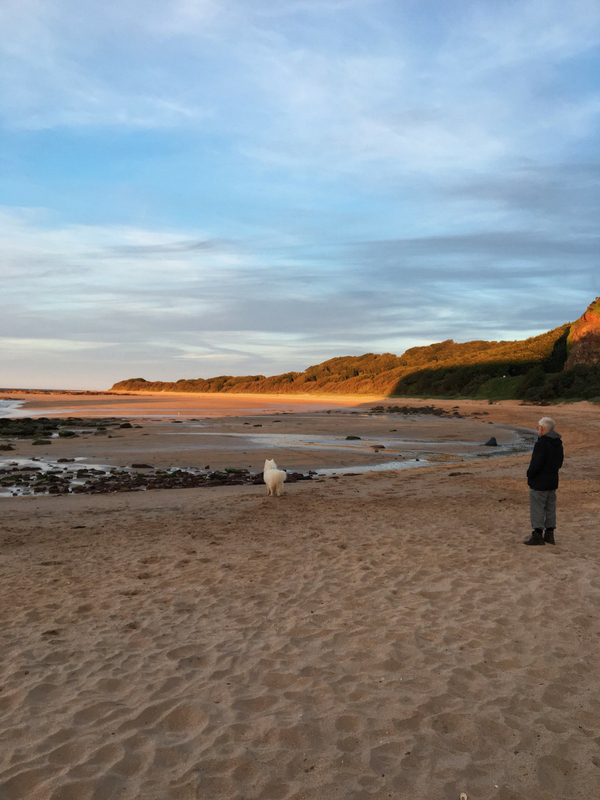 One of North Berwick's Most Beautiful Beaches Seacliff Beach