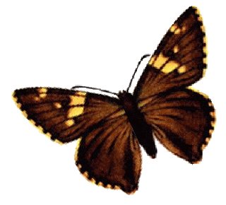 Https Encrypted Tbn0 Gstatic Com Images Q Tbn 3aand9gcra1hlagl Zywwnwjnq9ujmjiceavkgsewrhw Usqp Cau