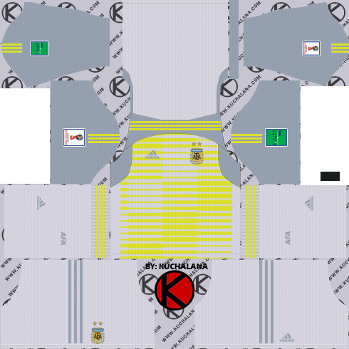 dls 19 argentina kit