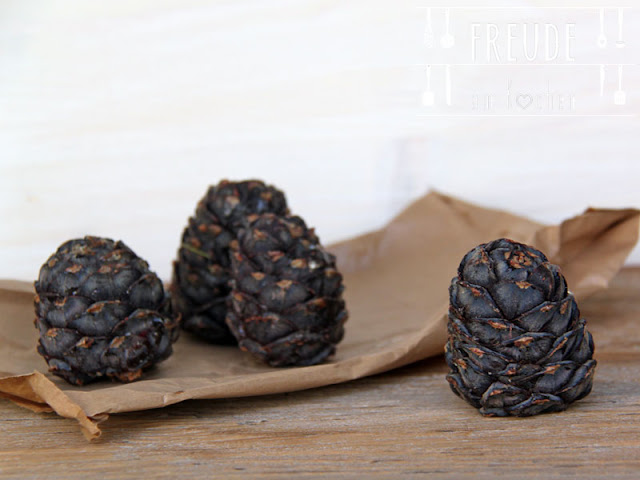 Aus der Zirbe: Zirbenschnaps und Zirbenlikör - Zirbenzapfen - Freude am Kochen Aus der Zirbe: Zirbenschnaps und Zirbenlikör - Zirbenzapfen - Freude am Kochen