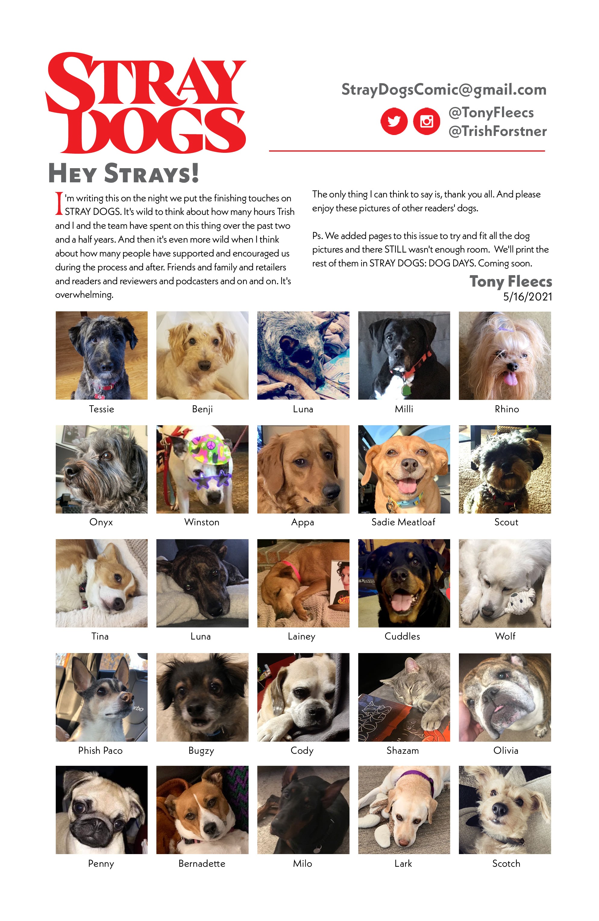 Read online Stray Dogs comic -  Issue #5 - 29