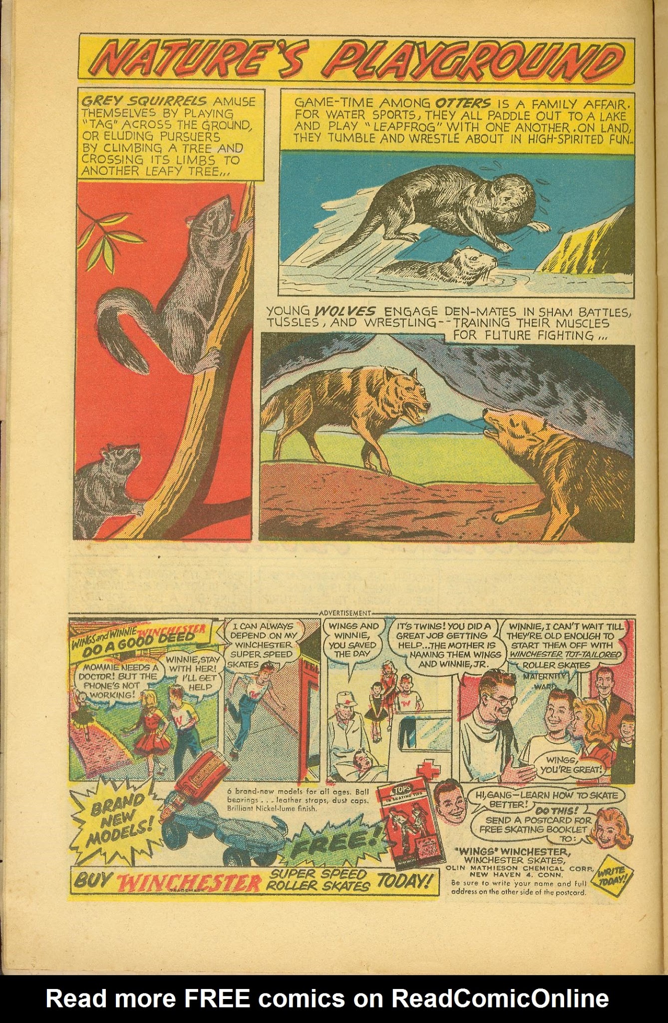Read online The Adventures of Rex the Wonder Dog comic -  Issue #33 - 14