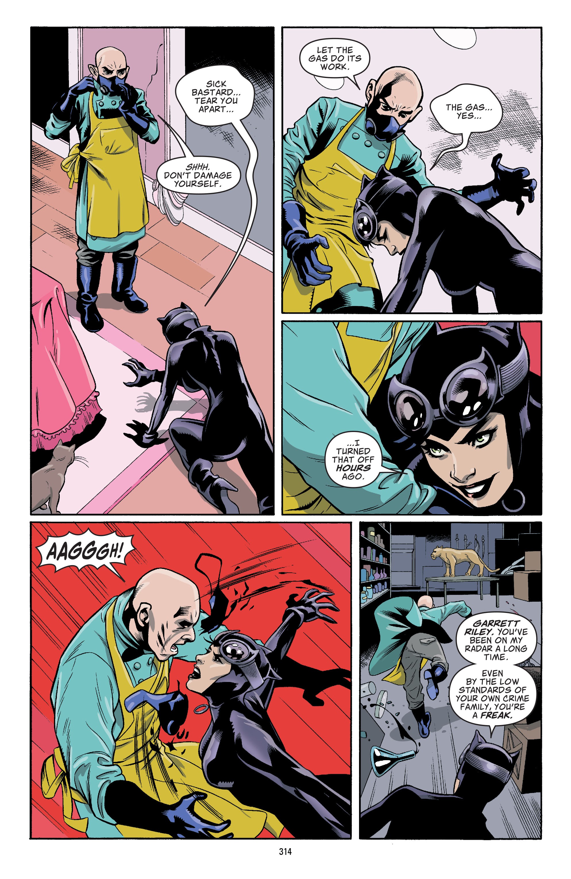 Read online Batman: 80 Years of the Bat Family comic -  Issue # TPB (Part 4) - 4