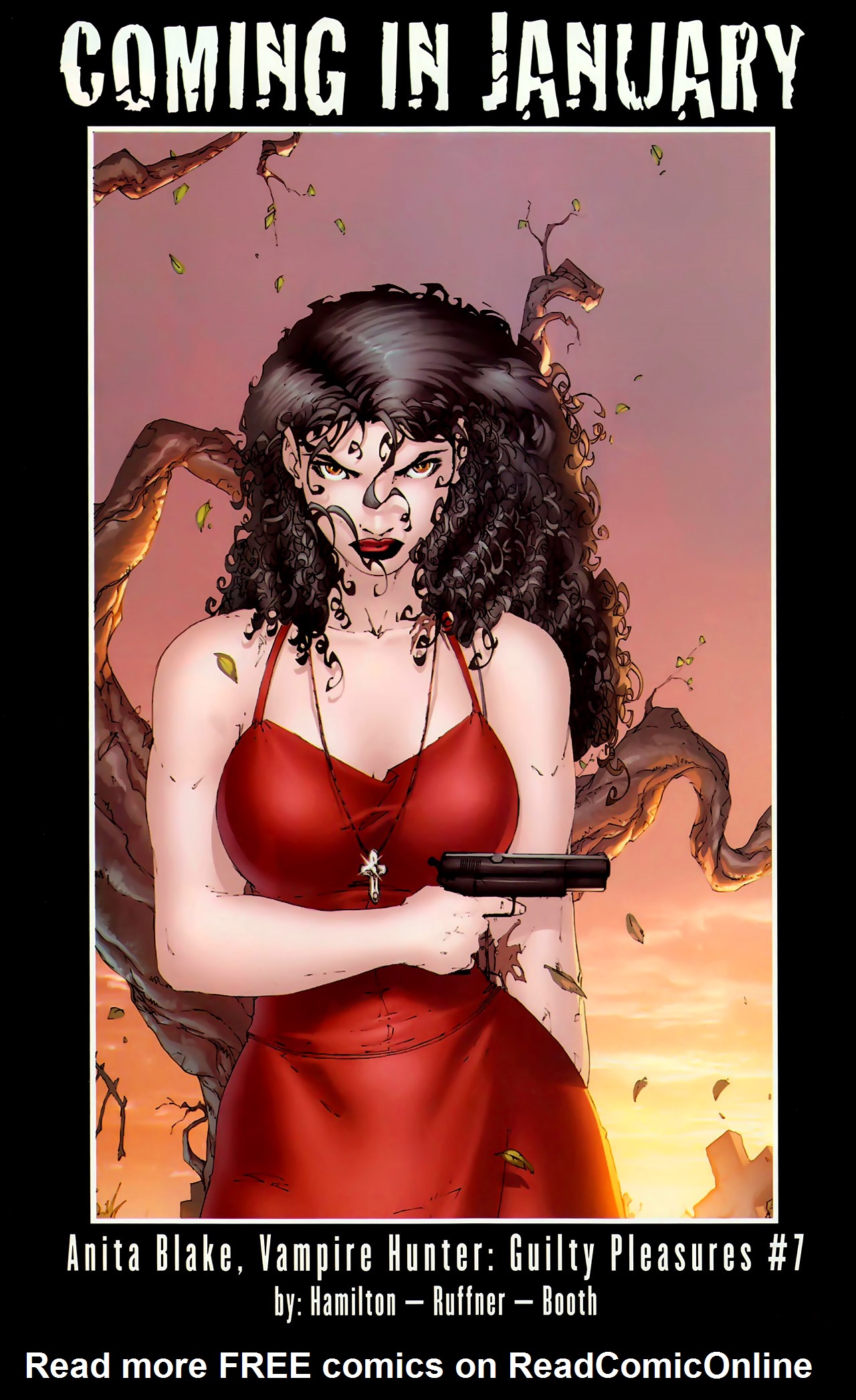 Read online Anita Blake, Vampire Hunter: The First Death comic -  Issue #2 - 41