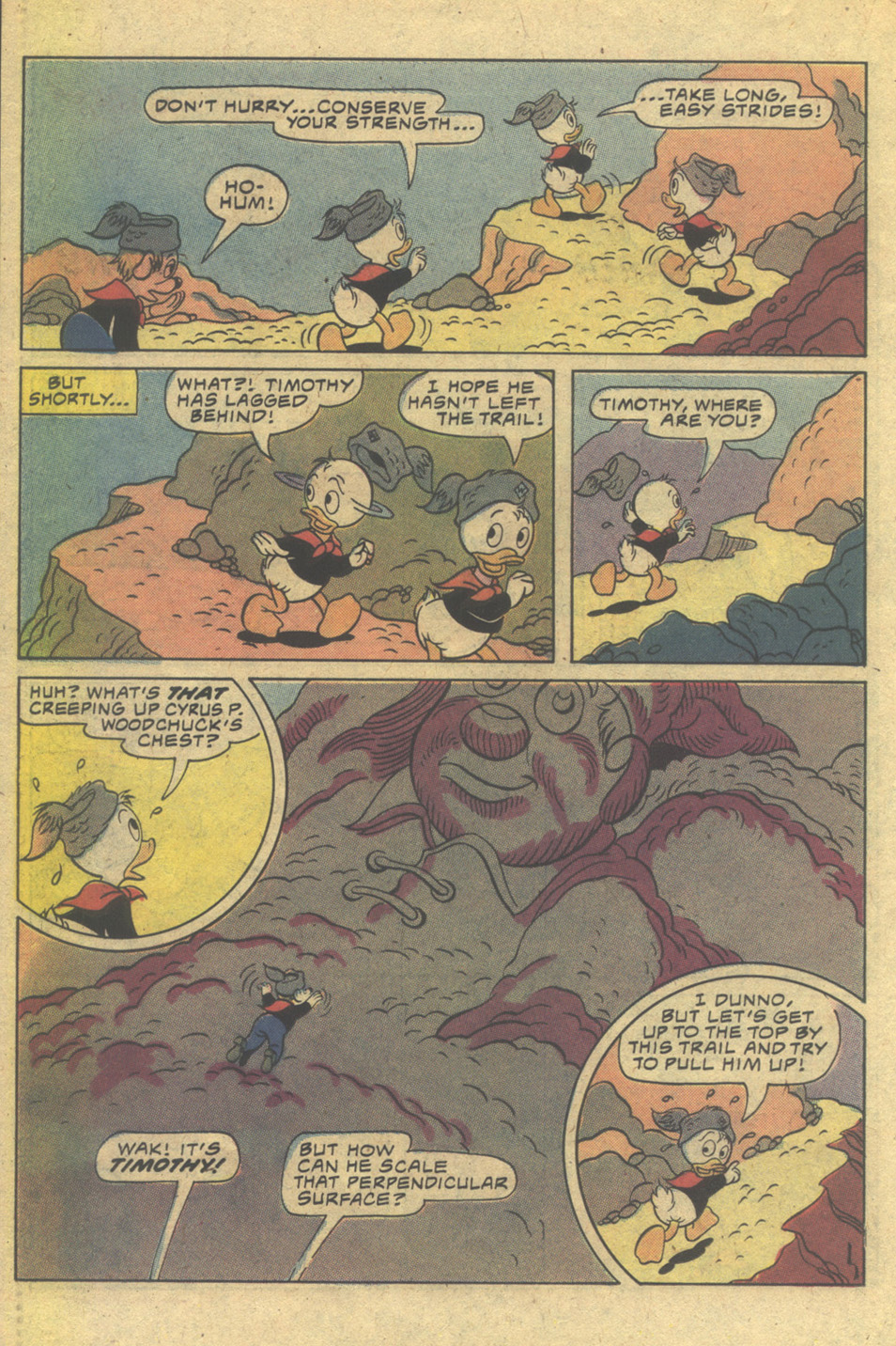 Read online Huey, Dewey, and Louie Junior Woodchucks comic -  Issue #67 - 22
