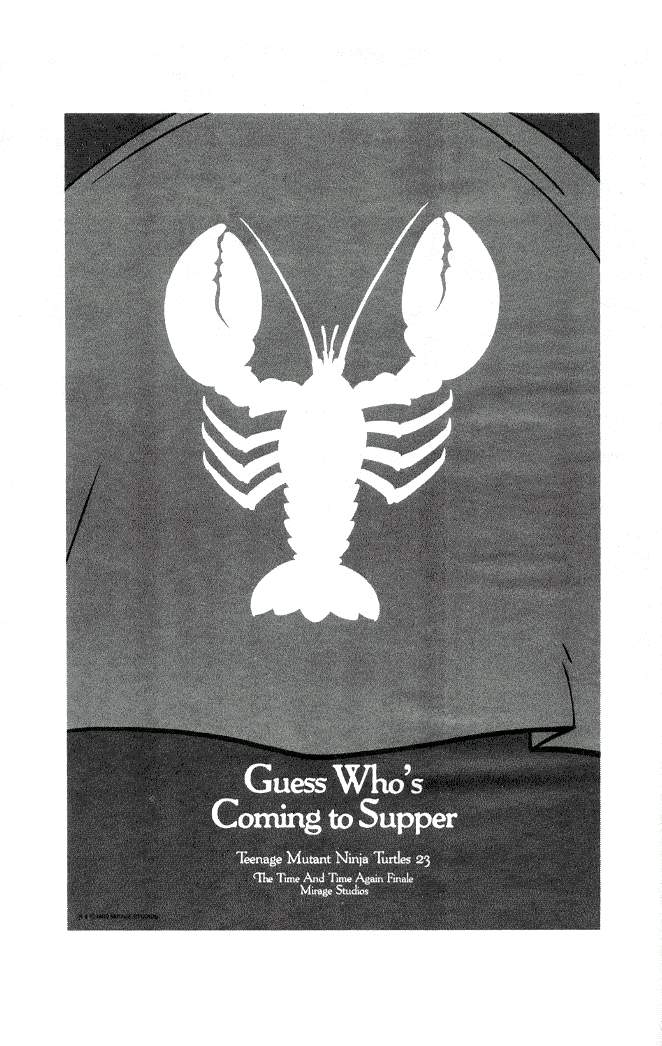 Read online Teenage Mutant Ninja Turtles (1984) comic -  Issue #19 - 42