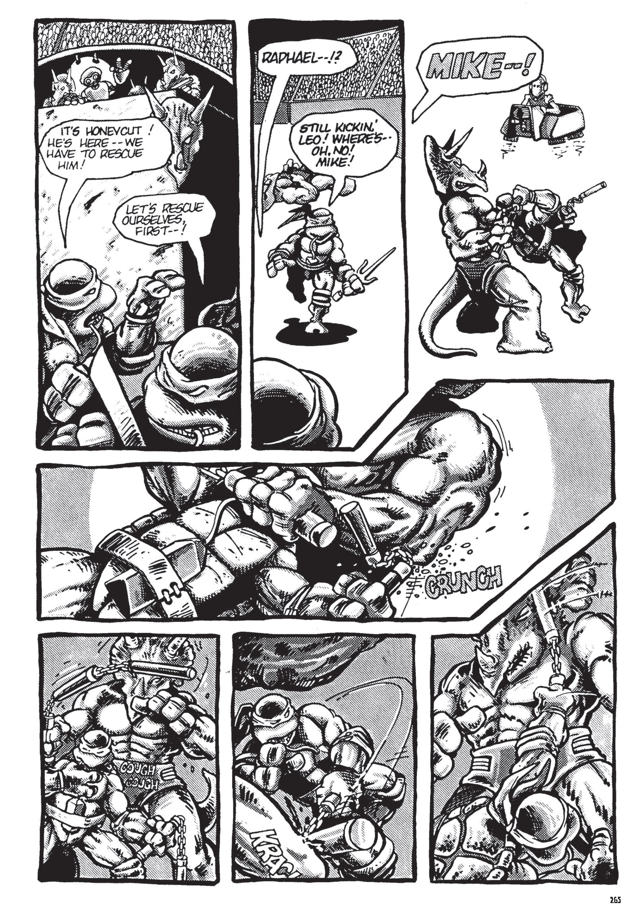 Read online Teenage Mutant Ninja Turtles: The Ultimate Collection comic -  Issue # TPB 1 (Part 3) - 64
