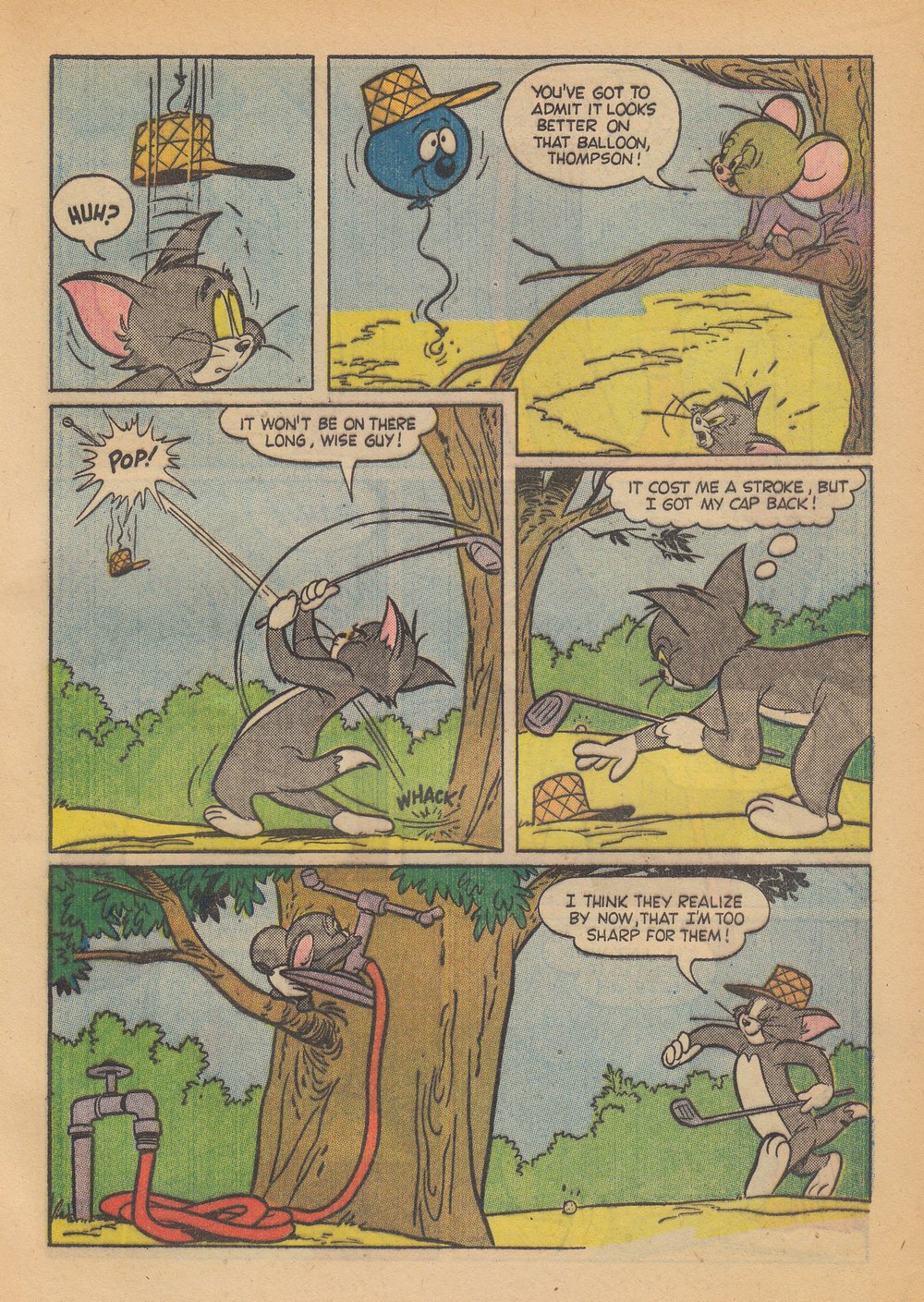 Read online Tom and Jerry's Summer Fun comic -  Issue #4 - 16