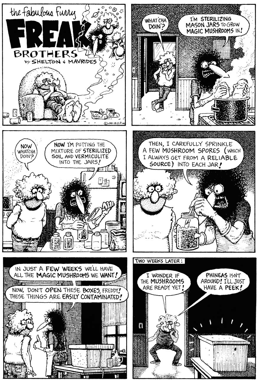 Read online The Fabulous Furry Freak Brothers comic -  Issue #12 - 10