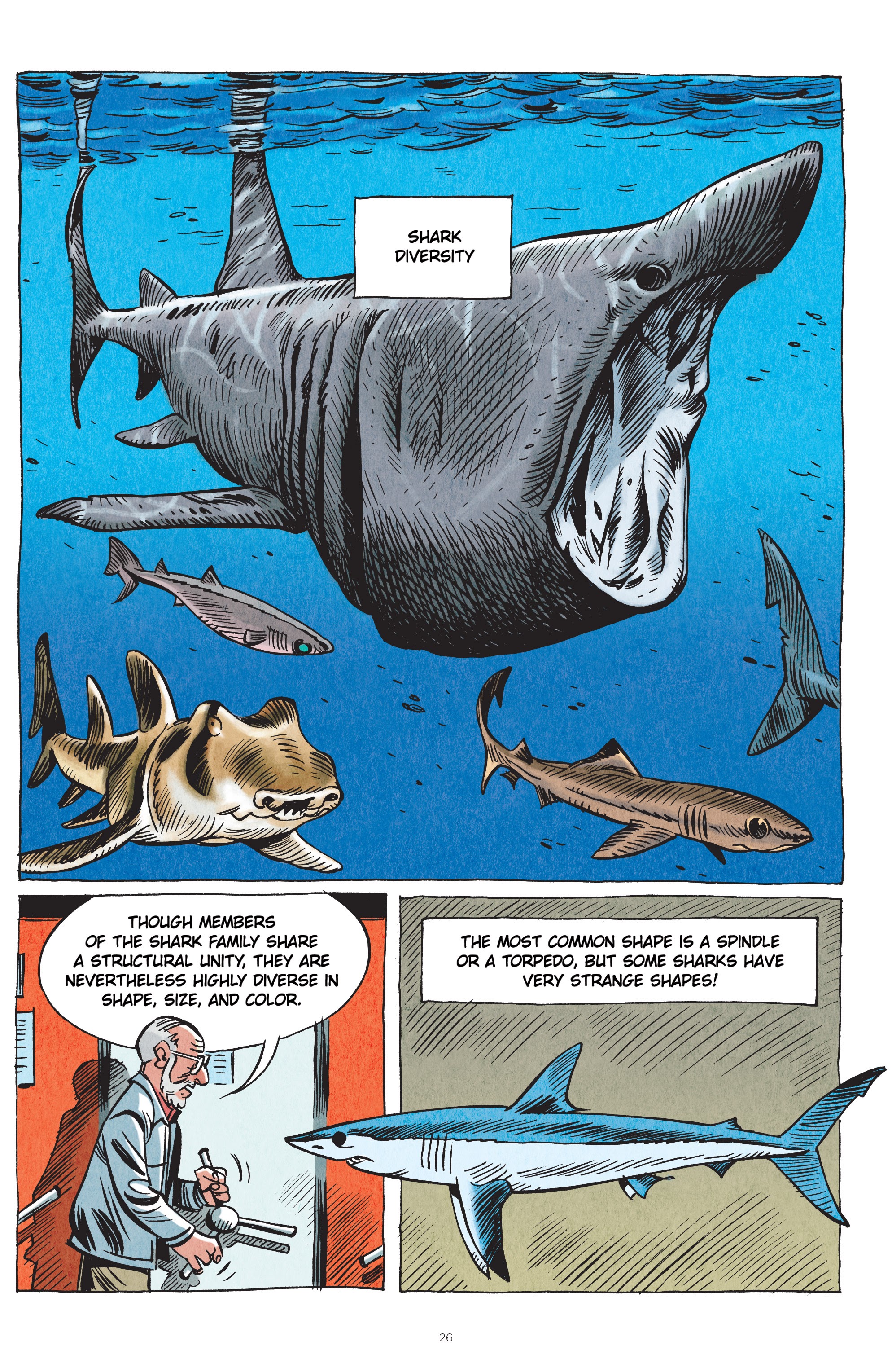 Read online Little Book of Knowledge: Sharks comic -  Issue # TPB - 26