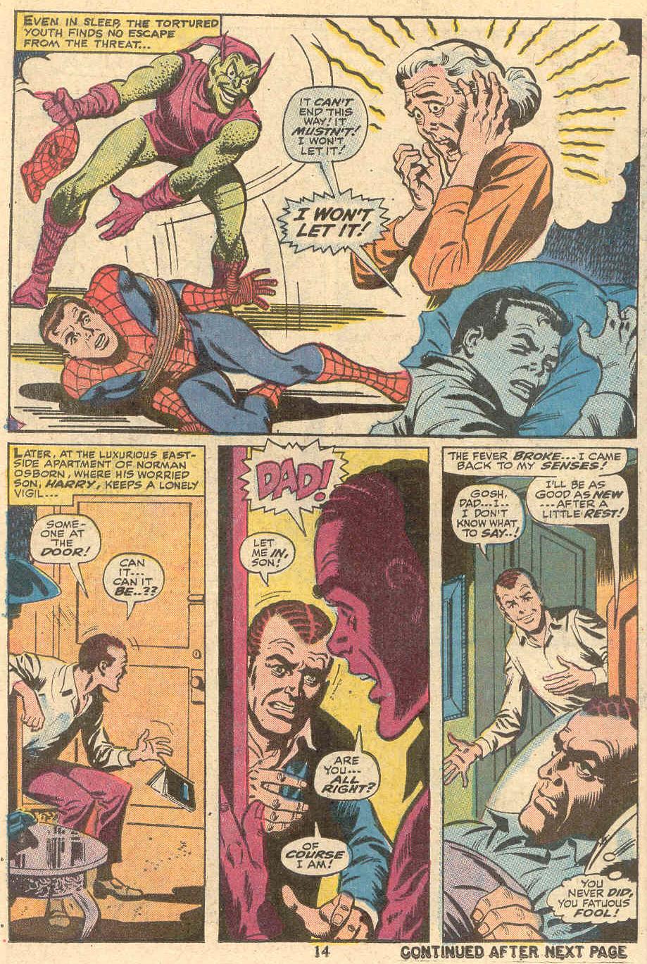 The Amazing Spider-Man (1963) issue Annual 9 - Page 14