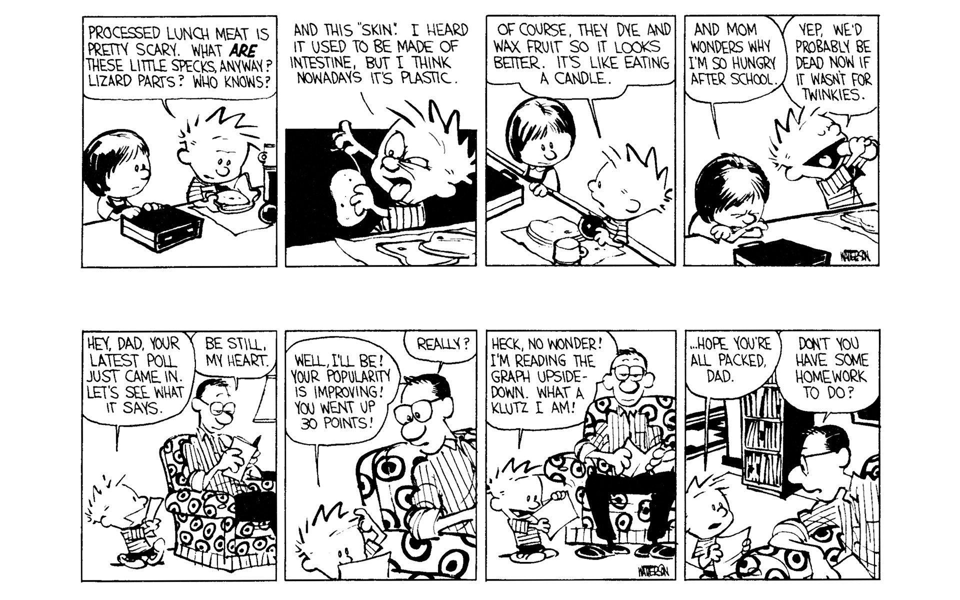 Read online Calvin and Hobbes comic -  Issue #3 - 95