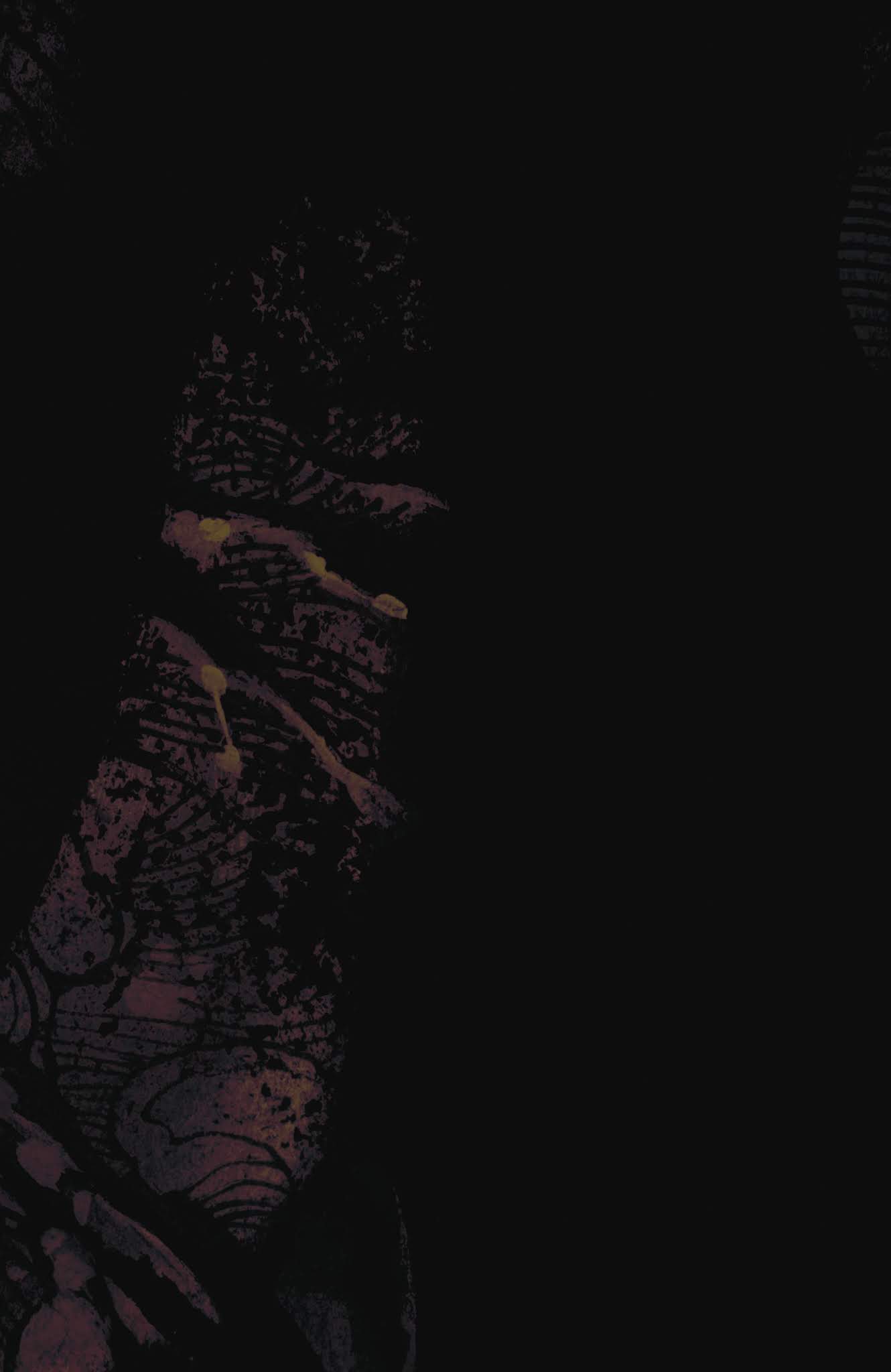 Read online Batman/Two-Face: Face the Face Deluxe Edition comic -  Issue # TPB (Part 1) - 7