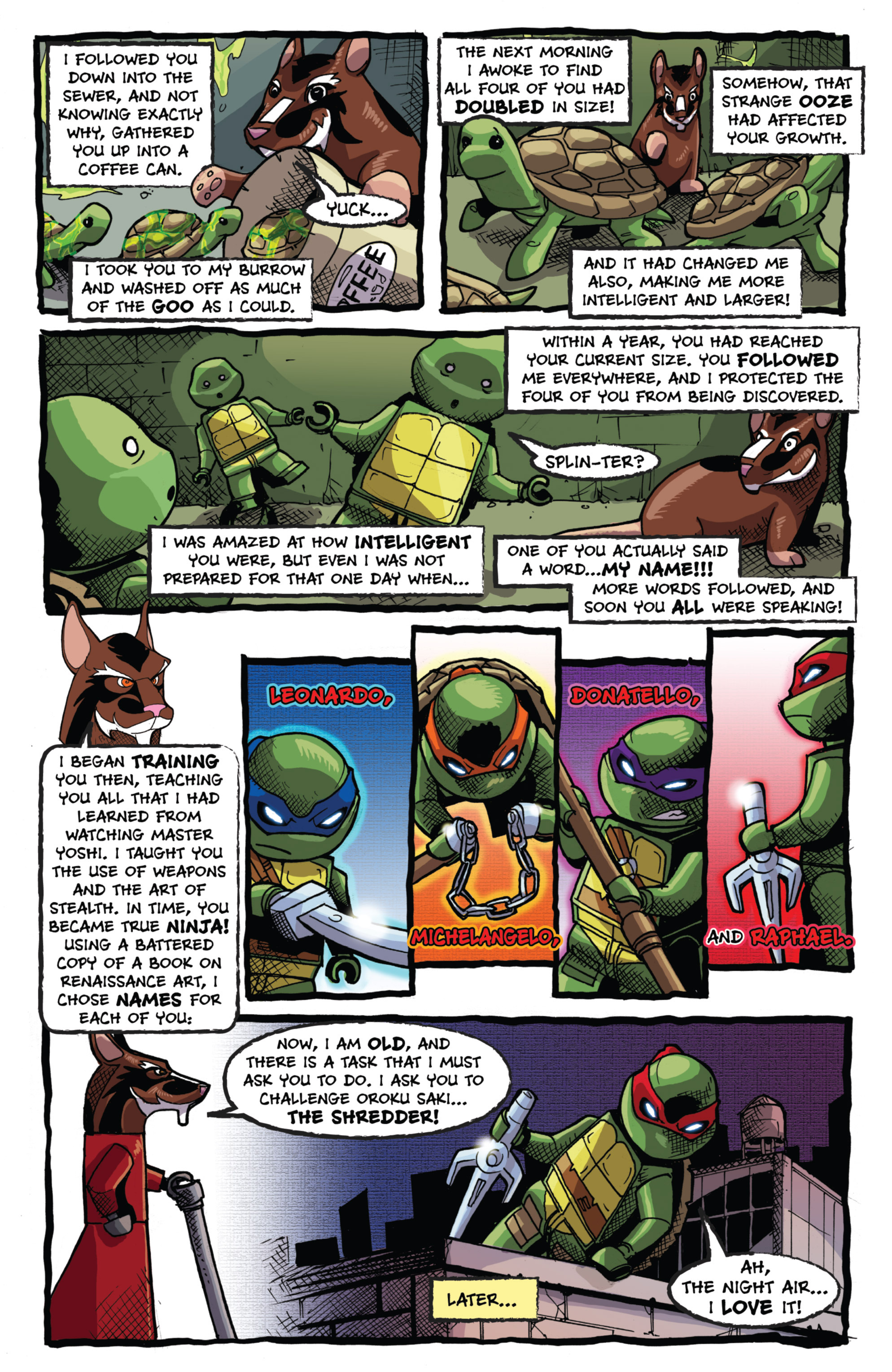 Read online Teenage Mutant Ninja Turtles New Animated Adventures comic -  Issue #12 - 29