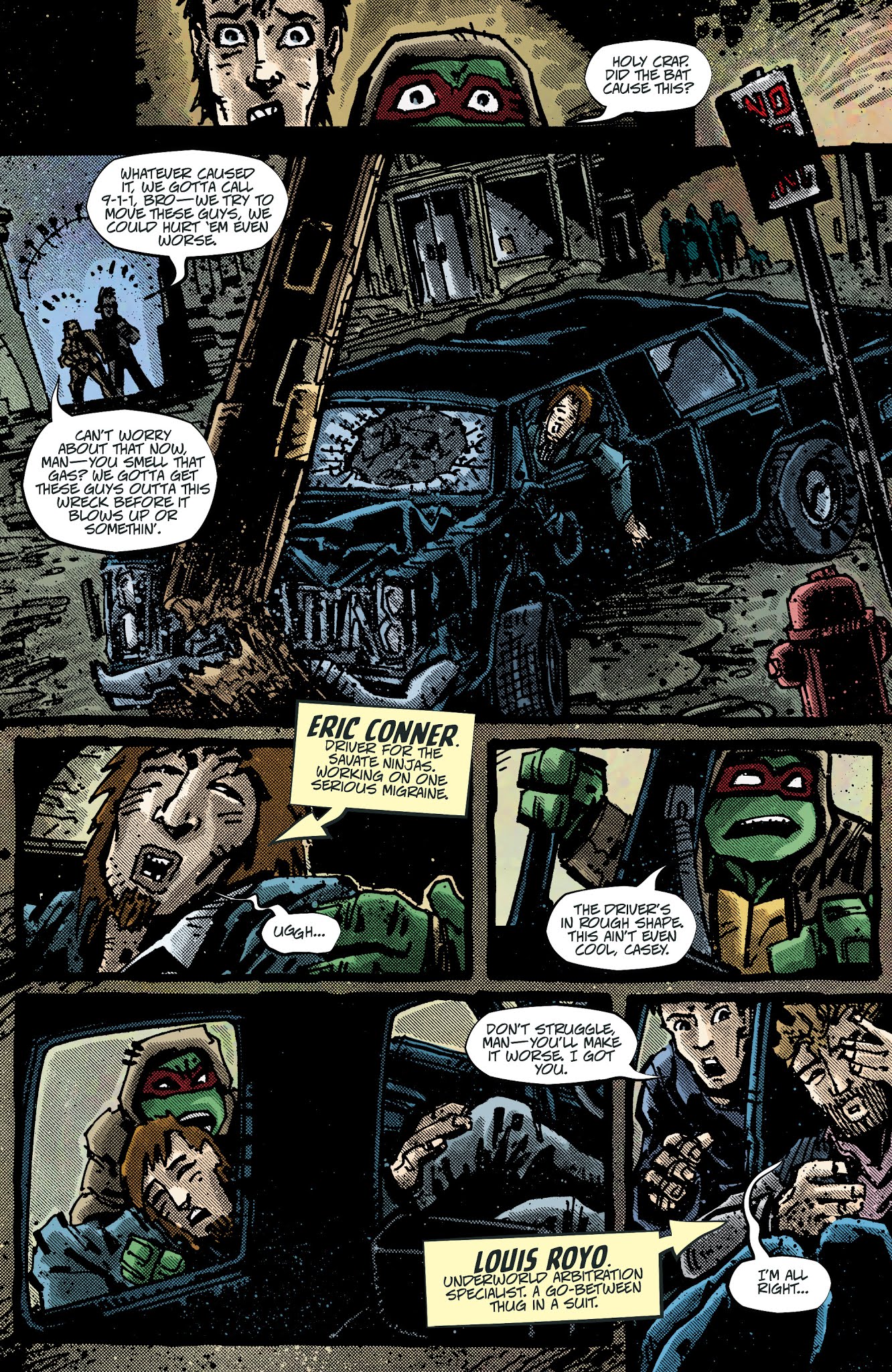 Read online Teenage Mutant Ninja Turtles: The IDW Collection comic -  Issue # TPB 3 (Part 1) - 14