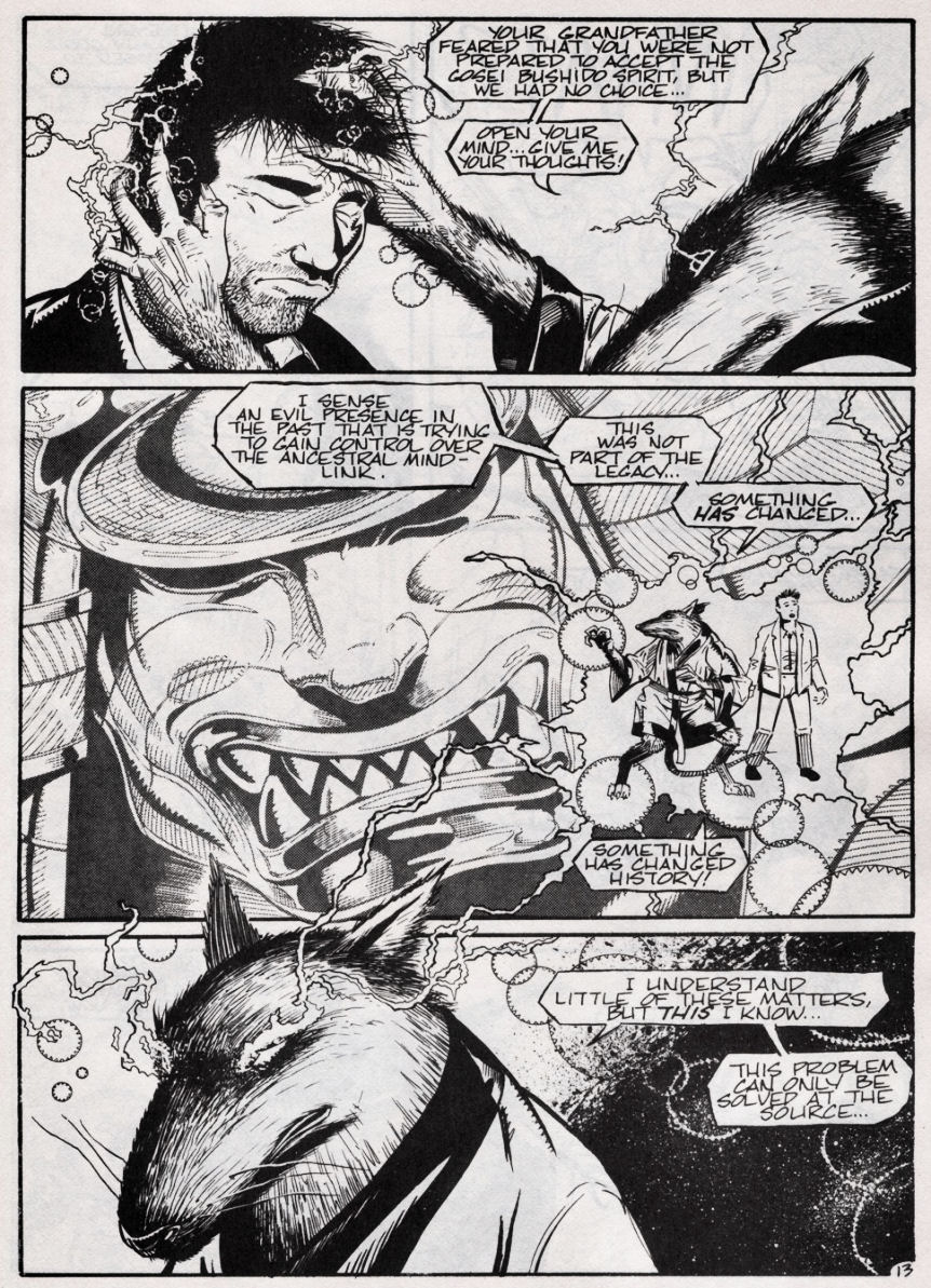 Teenage Mutant Ninja Turtles (1984) Issue #46 #46 - English 13