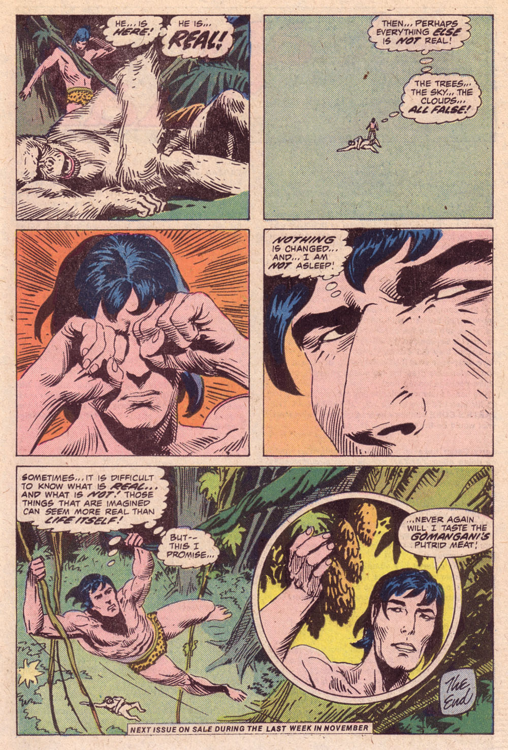 Read online Tarzan (1972) comic -  Issue #257 - 17