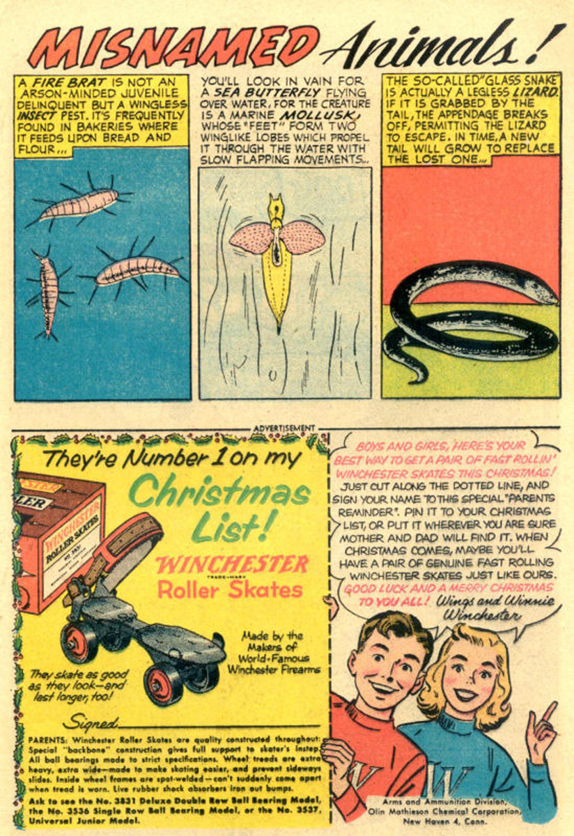 Read online The Adventures of Rex the Wonder Dog comic -  Issue #25 - 25