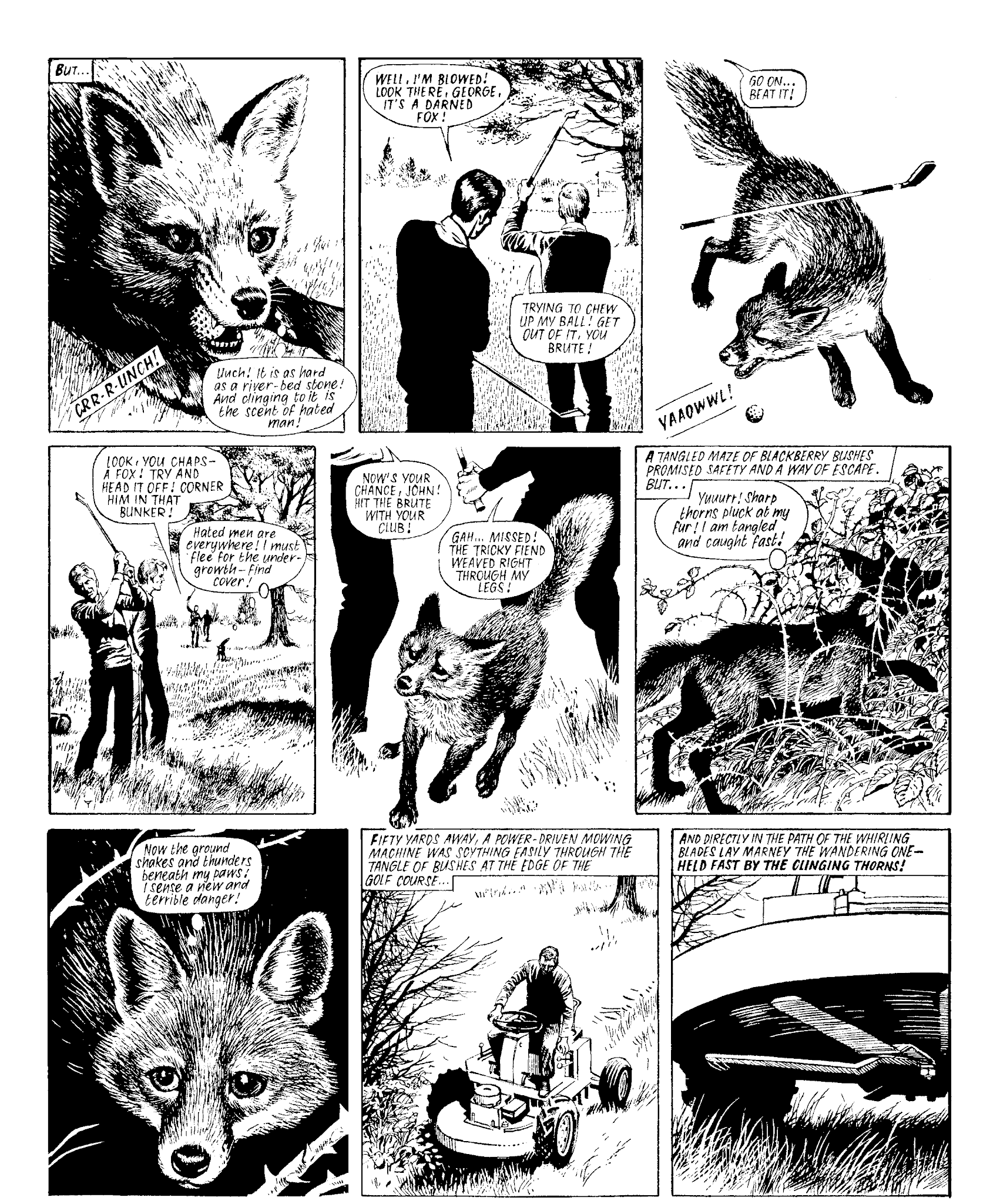 Read online Marney the Fox comic -  Issue # TPB (Part 1) - 90