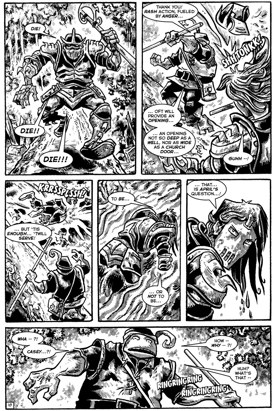 TMNT: Teenage Mutant Ninja Turtles issue 31 - Page 18
