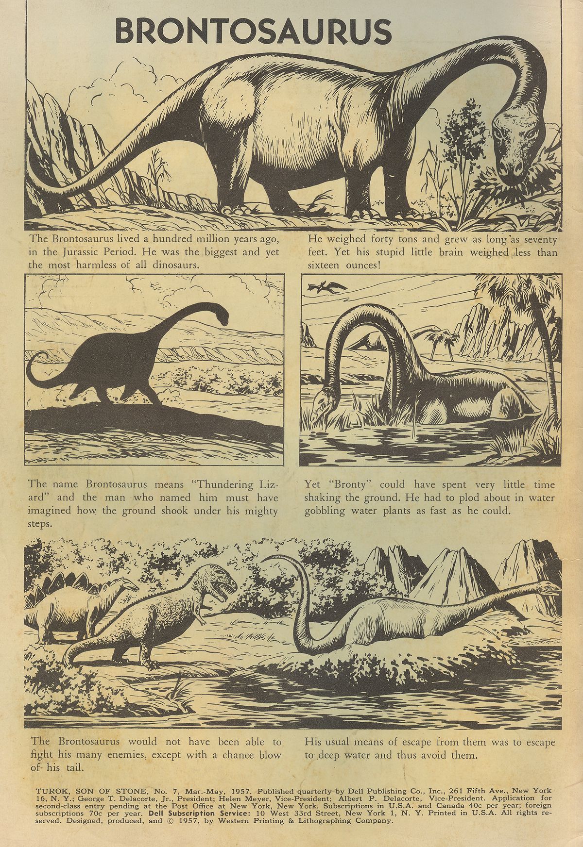 Read online Turok, Son of Stone comic -  Issue #7 - 2