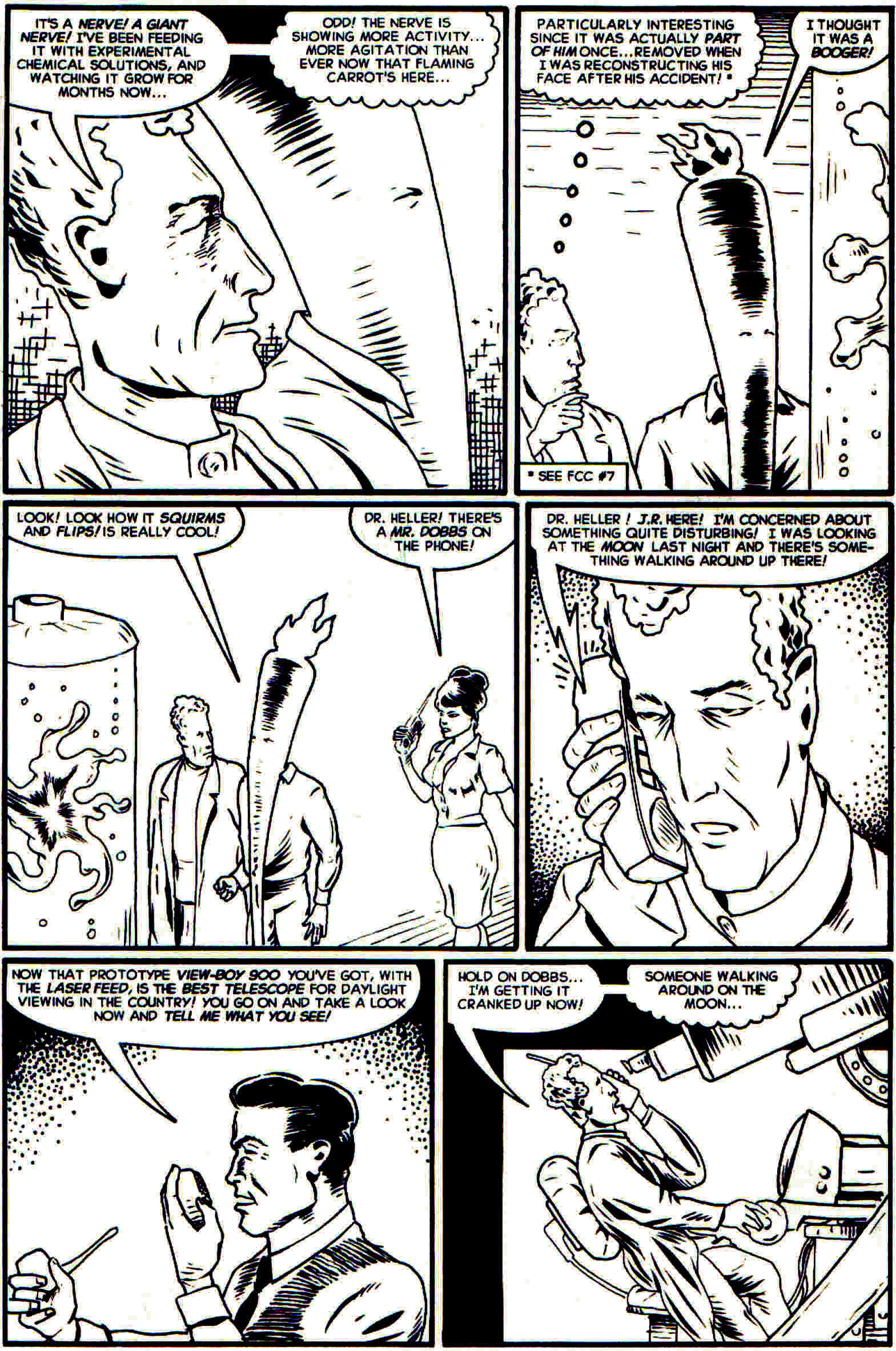 Read online Flaming Carrot Comics (1988) comic -  Issue #28 - 11