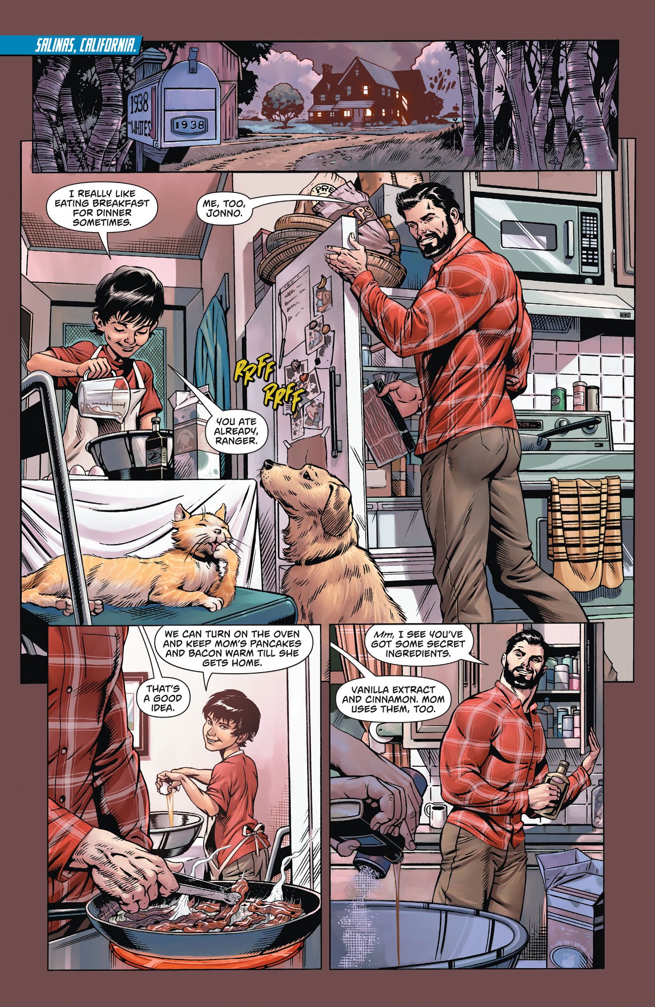Read online Superman: The Final Days of Superman comic -  Issue # TPB (Part 2) - 17