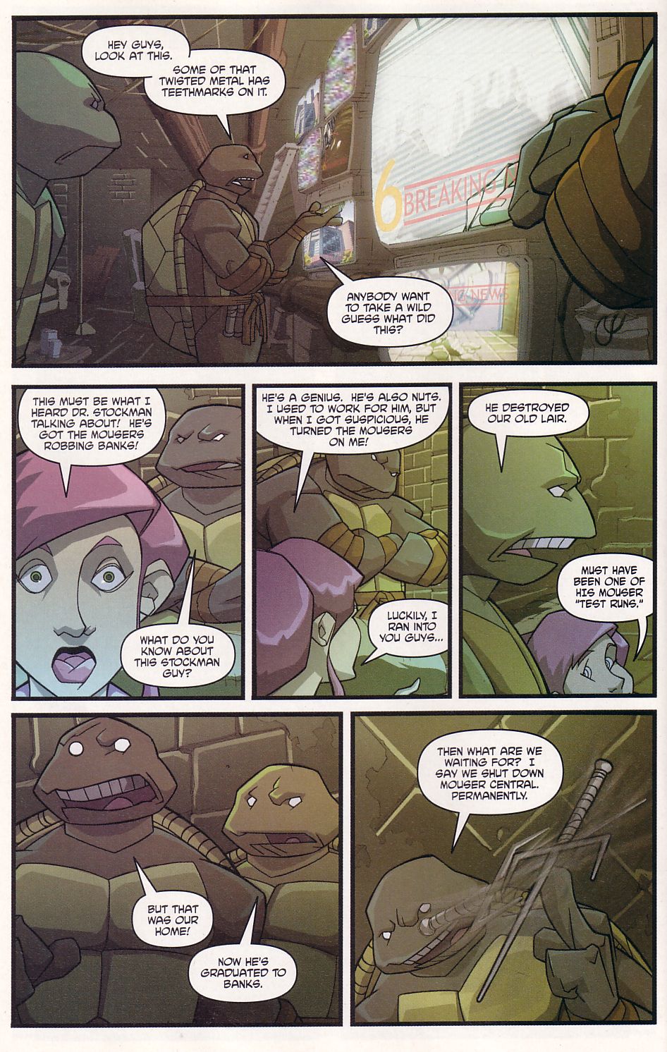 Teenage Mutant Ninja Turtles (2003) Issue #3 #3 - English 8