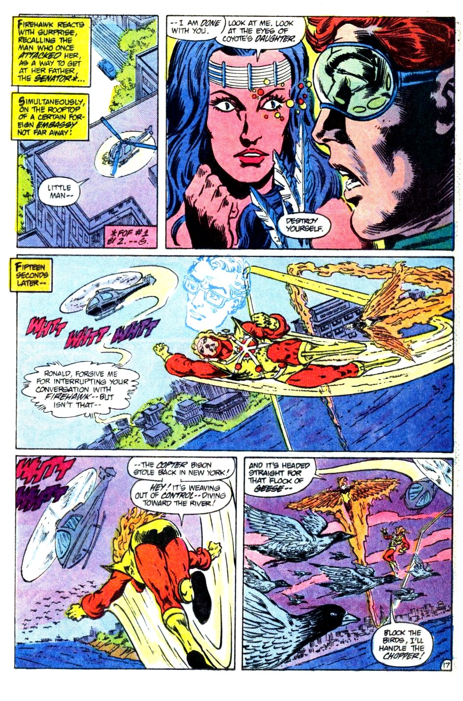 The Fury of Firestorm Issue #26 #30 - English 18