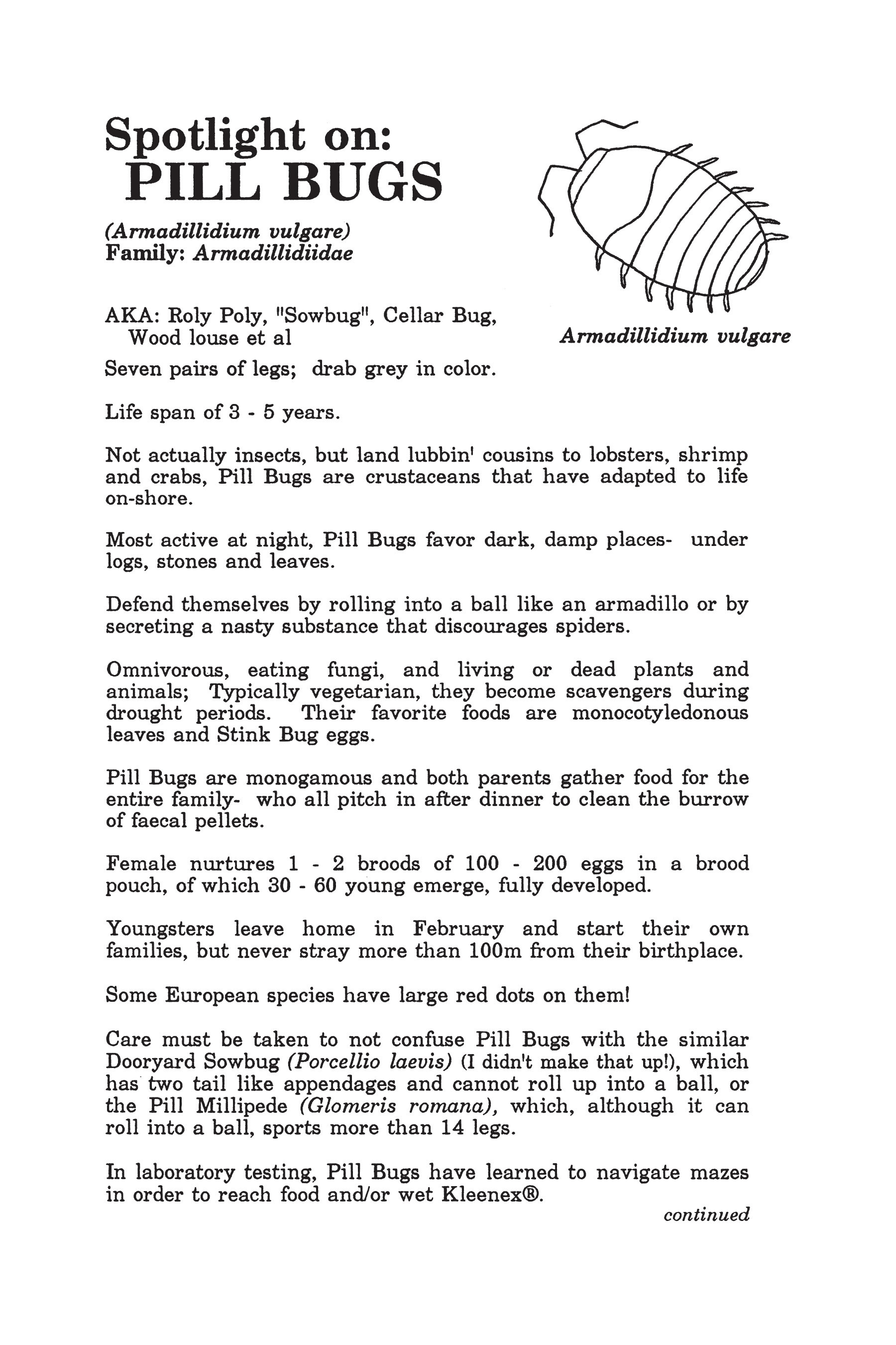 Read online Map of My Heart comic -  Issue # TPB (Part 2) - 55