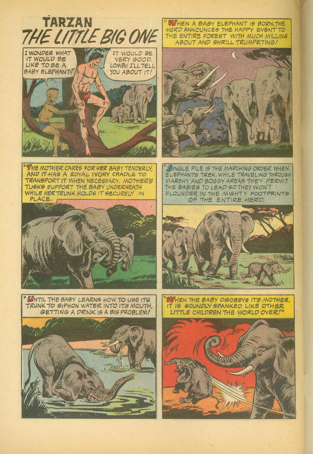 Read online Tarzan (1962) comic -  Issue #159 - 34