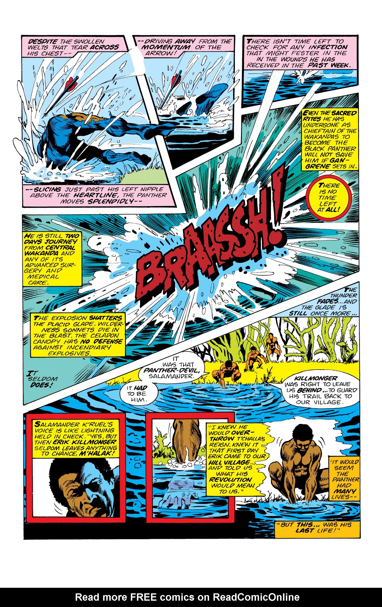 Read online Marvel Masterworks: The Black Panther comic -  Issue # TPB 1 - 156