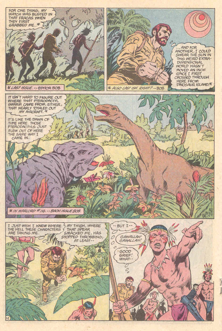 Read online Warlord (1976) comic -  Issue #118 - 12