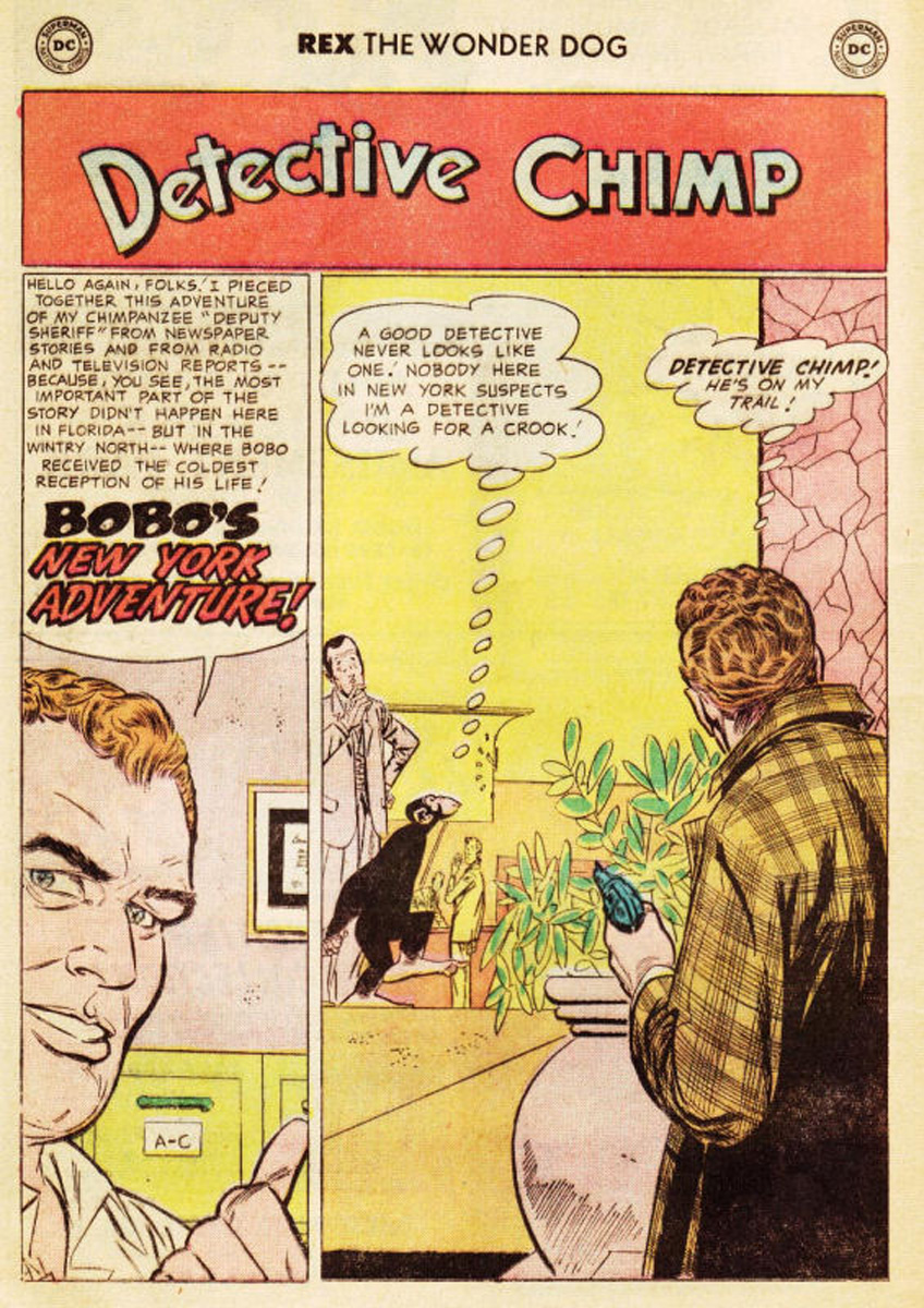 Read online The Adventures of Rex the Wonder Dog comic -  Issue #35 - 12