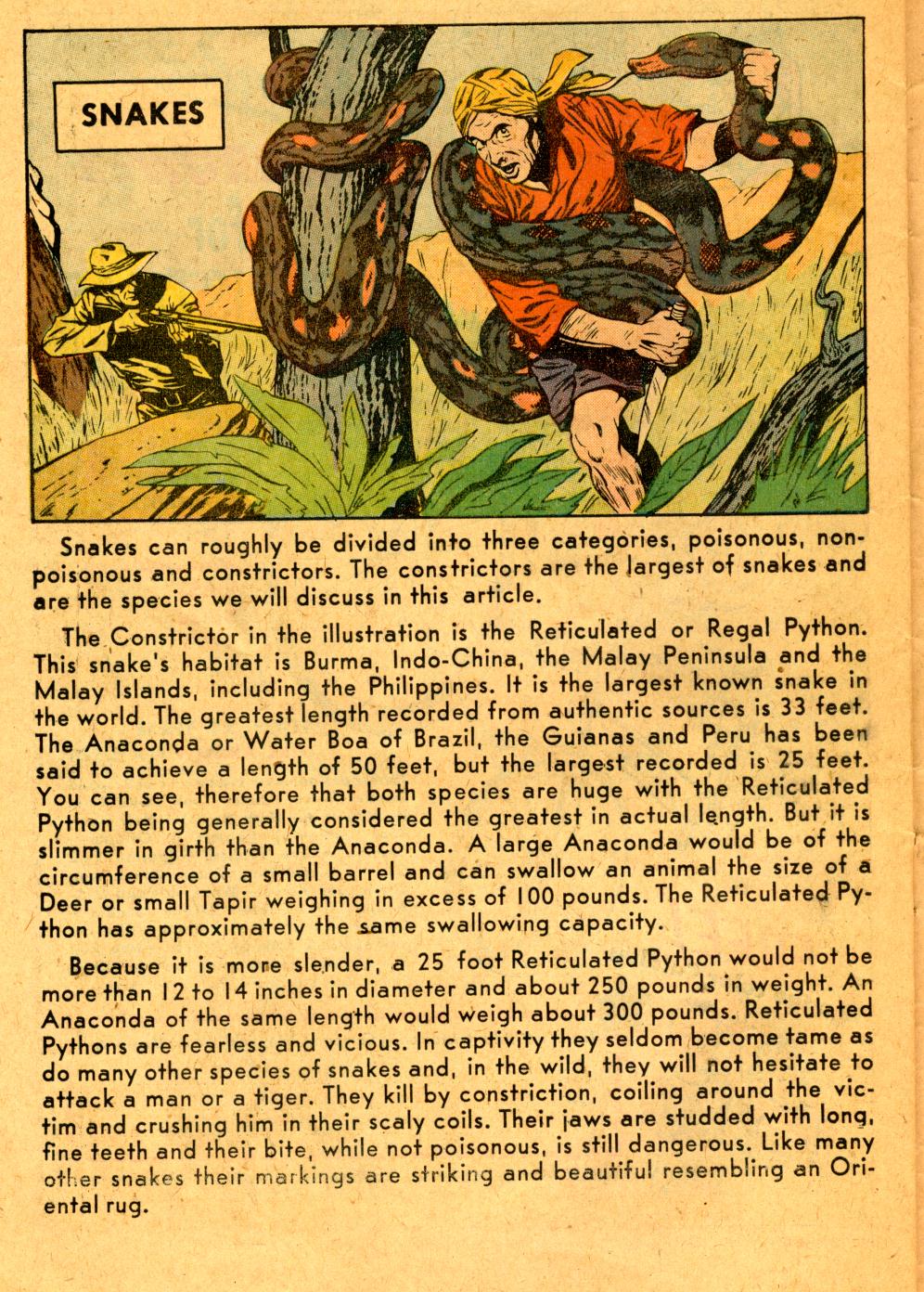 Read online The Fly (1959) comic -  Issue #5 - 27